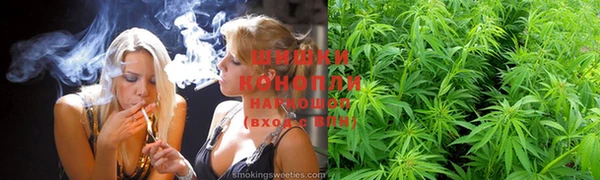прущая мука Горняк