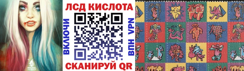 Купить закладки  Новоржев  Марки NBOMe 1,8мг 