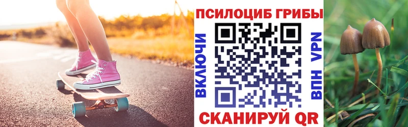 Купить  Новоржев  Галлюциногенные грибы Psilocybine cubensis 